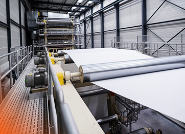 Pulp & Paper Industry